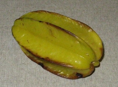 Pépinière Palmaris Averrhoea carambola