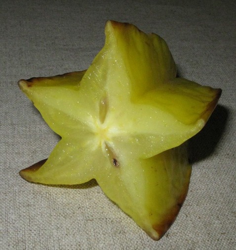 Pépinière Palmaris Averrhoea carambola