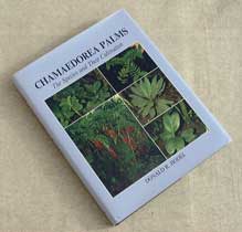 Pépinière Palmaris Livre Chamaedorea Palms