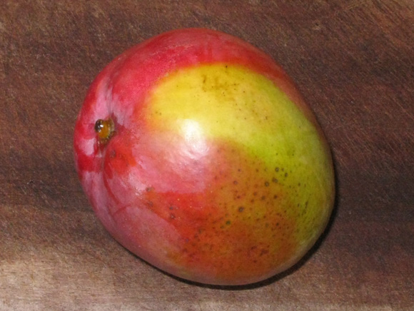 Pépinière Palmaris Mangifera indica