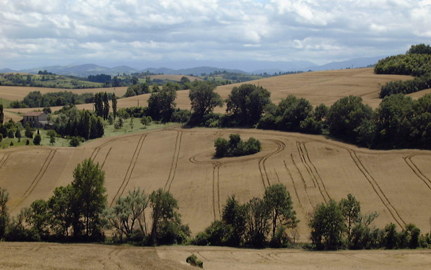 Pépinière Palmaris Paysage